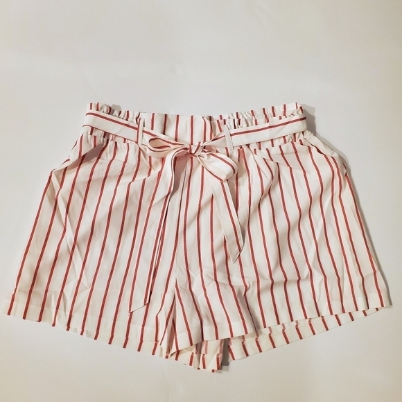 Plus Size Pink Pinstriped Shorts▪︎2x - Picture 5 of 9